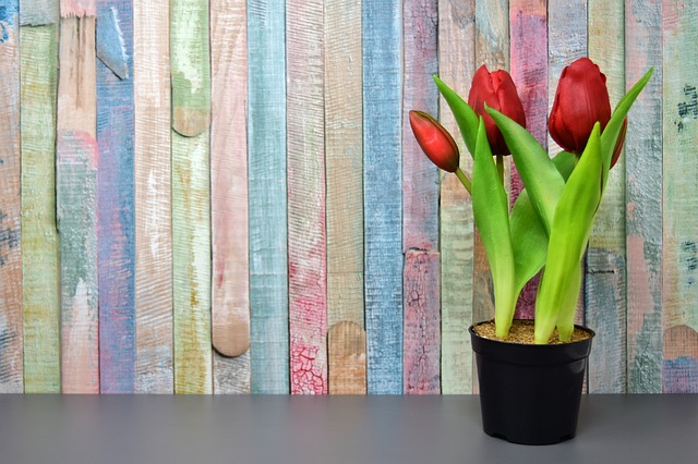 umělé tulipány